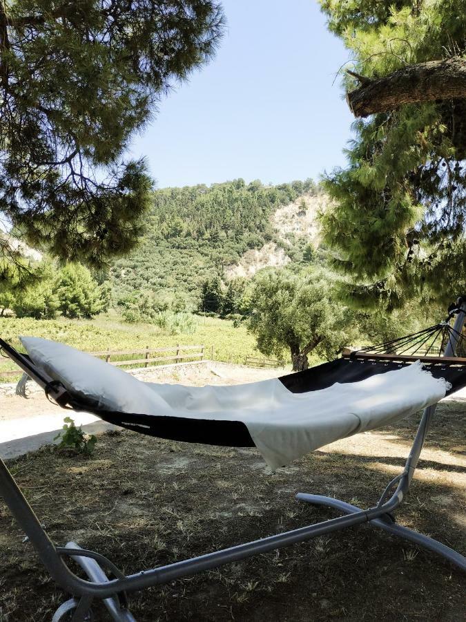 Villa Conifera Zakynthos Buitenkant foto