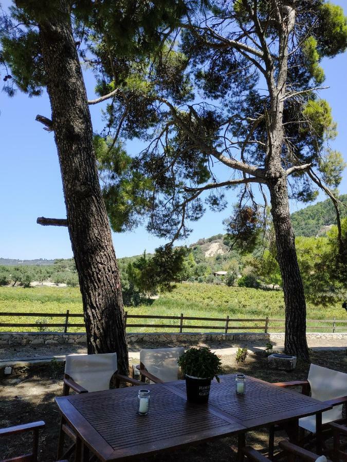 Villa Conifera Zakynthos Buitenkant foto
