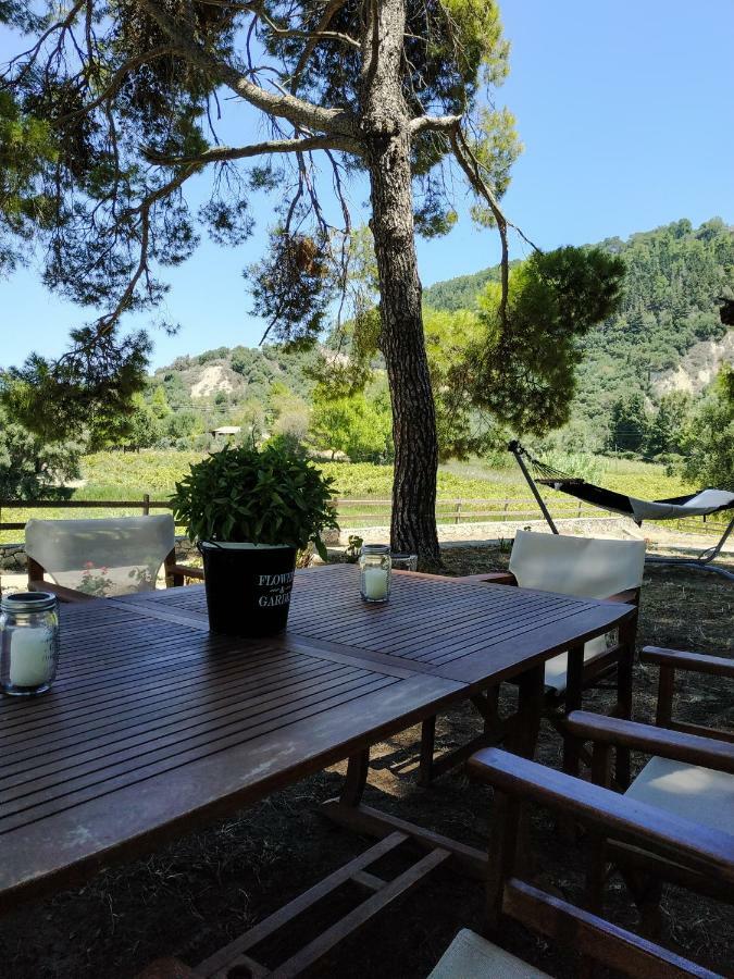 Villa Conifera Zakynthos Buitenkant foto
